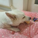 바른통상 이미지