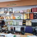 지나 캐롬클럽 이미지