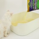 그랜드마스터카 | 카사바 고양이모래 추천 | 아메리칸솔루션 그랜드마스터 솔직 후기