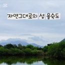 하단동1233 이미지