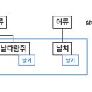 지향개 이미지