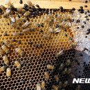 중앙종합관리 이미지