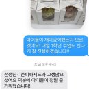 남외초등학교 이미지
