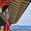 경화역공원 맞은편 횡단보도 | 진해 근교 여행 계획이라면 방문 필수! 꼭 가봐야 하는 명소 TOP3 진해루 경화역 여좌천 가볼만한 곳!