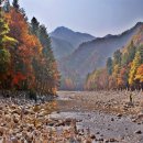 안전하고 즐거운 등산 이미지