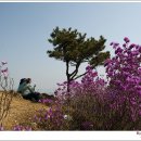 계양산 팔각정 이미지
