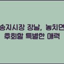송지시장 이미지