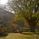 황장군