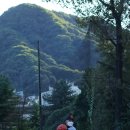 서초구서리풀리틀야구단