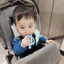 [육아일기] 341~345일, 첫 수영장 방문(대실패^^)