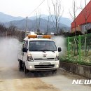 청주 보은 한우 이미지