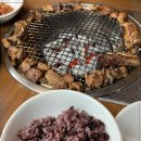 갈비애가 이미지