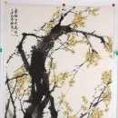 (주)김명자 이미지