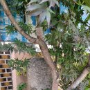 월하3리마을회관 이미지