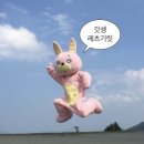 세류헬스장 이미지