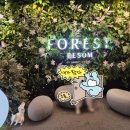 아쿠아산소사우나 이미지