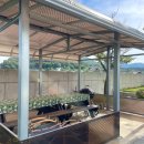 별장도초 이미지