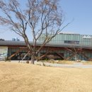 영흥체육관 이미지