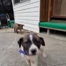 오남농장 이미지