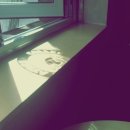 우리동네 감천 이미지