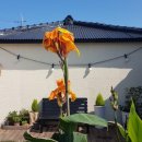 하도별방 이미지