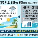 대주카서비스 | 2026 베트남 푸꾸옥 여행 우기 날씨 숙소 리조트 고르는법 총정리