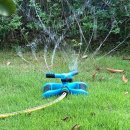 나비정원 캐터리 이미지