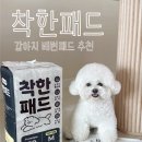 오마이펫 | 강아지 배변패드 추천 오마이펫 착한패드 후기