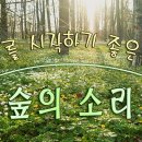 몸과 마음이 편안해지는 치유음악 🌲하루10분 만병을 치료 해주는 힐링 명상 기치료 음악 및 영상 - 아침음악, 힐링음악, 명상음악, 이미지