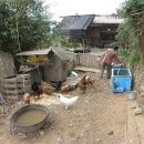 선비농장 이미지