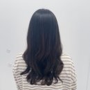 안동미용실안미 이미지
