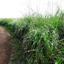 서천공원 이미지