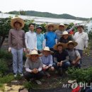 포도향이흐르는마을 이미지