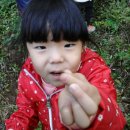 월문초등학교(병설) 이미지