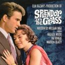 초원의 빛 이미지