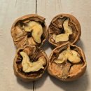 황금 농장 | 황금호두 포도농장 국내산호두 배송후기 알호두까는방법 보관법