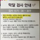 유방6통 | [동탄 제일병원] 34주 정기검진 /막달 검사