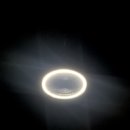 F001 | 포레스트 큐브 샤이니 멀티 팬 MULTI FAN , FC22-F001 내 돈 내산 사용 후기