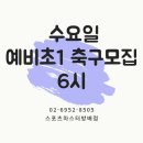 마스터스포츠주 이미지