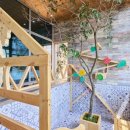 오션 캣 이미지