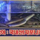 강쇠풍천숯불장어 이미지
