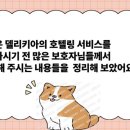 델리키아 이미지