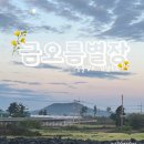 금오름 별장 이미지
