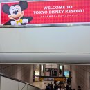 주식회사 위드랜드뷰티 | 도쿄 디즈니랜드 내돈내산 방문 후기 효율적인 동선 꿀팁