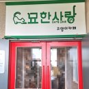 묘한사랑 이미지