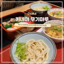오사카 간사이 공항 우동 맛집 &lt;키네야 무기마루&gt;