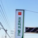 카박사 이미지
