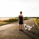 데이즈동물의료센터 이미지