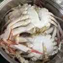 88냉동수산