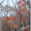 남해-241 이미지